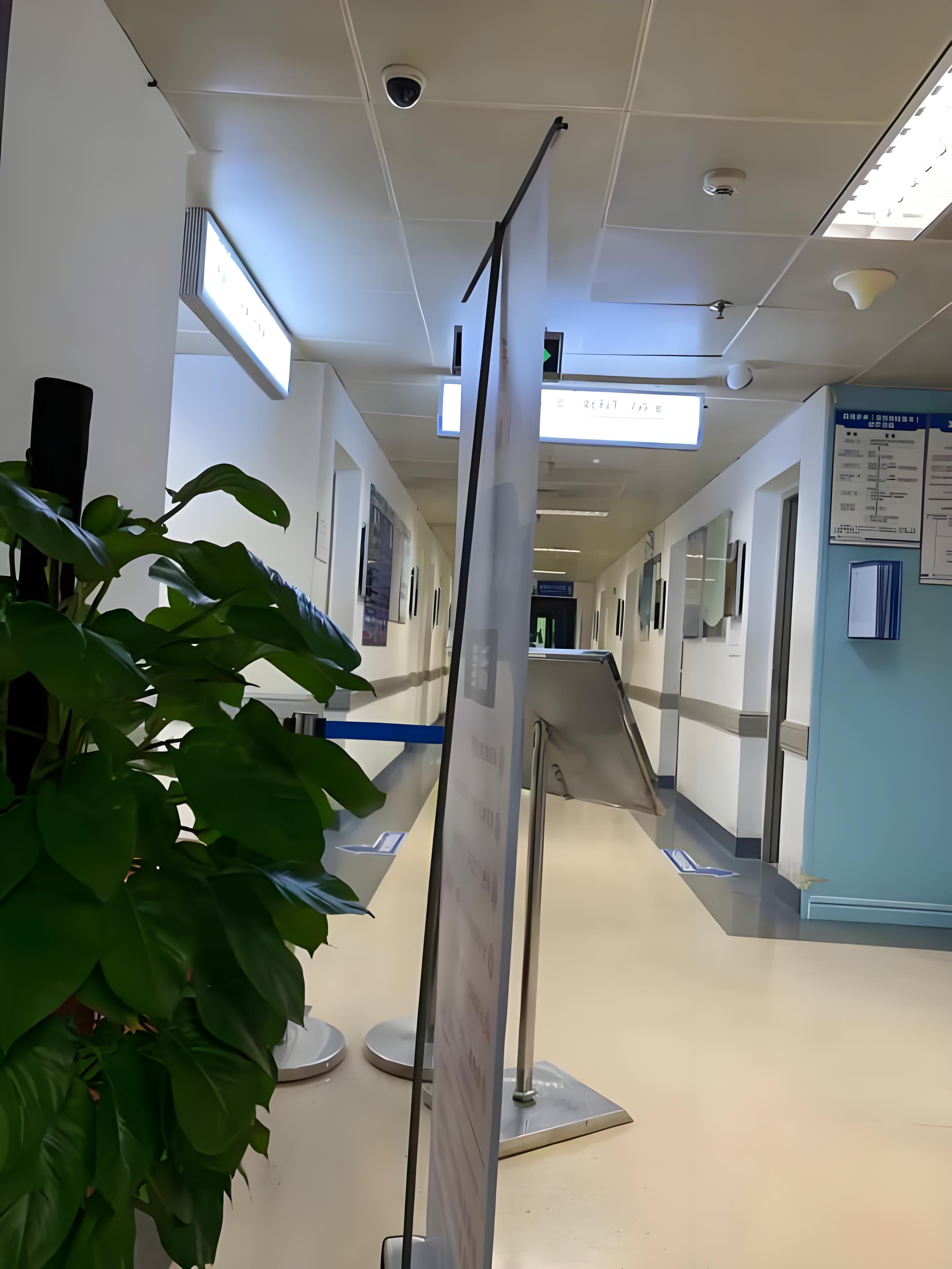 PA（中国）同质透心地板