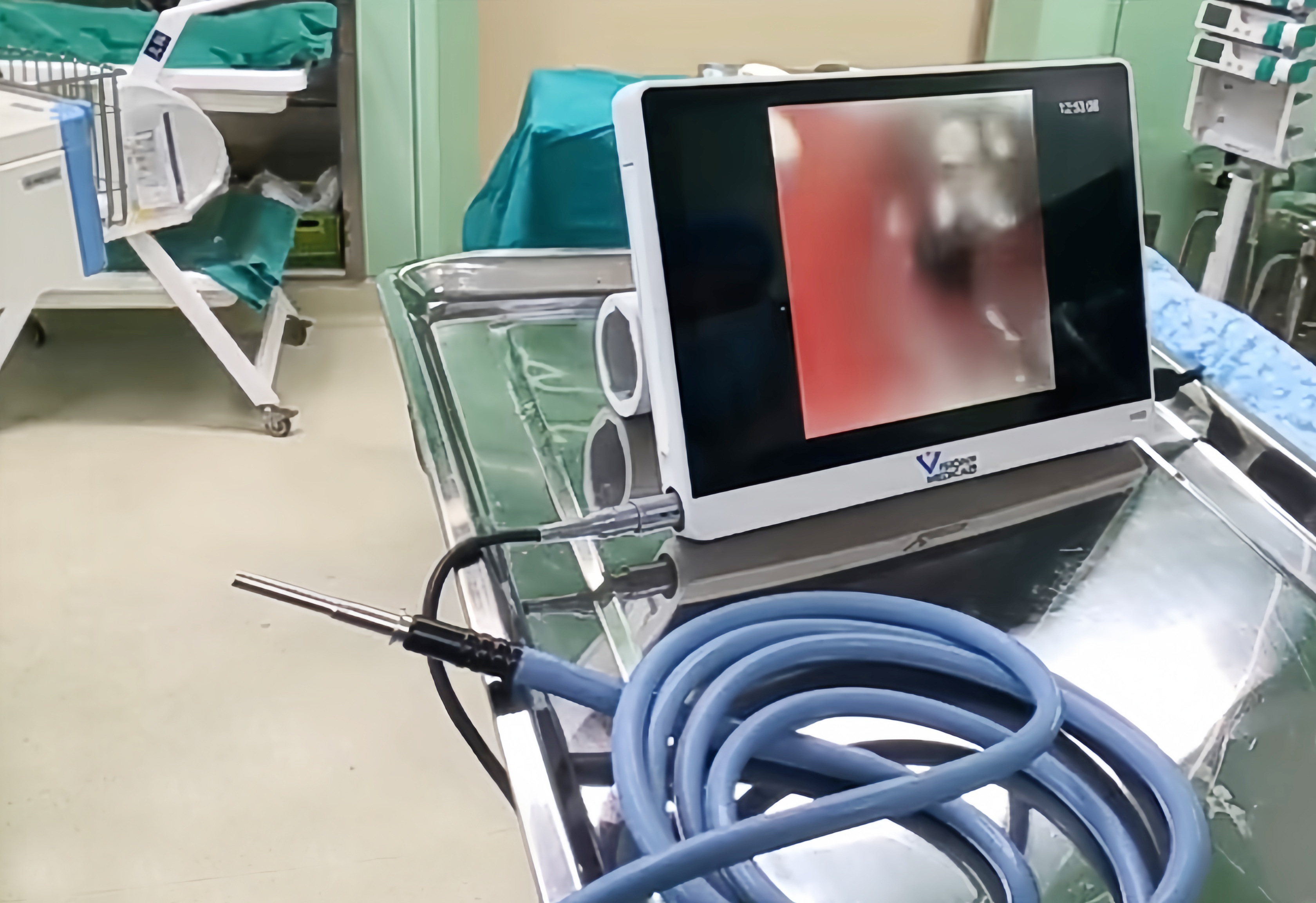 PA（中国）同质透心地板